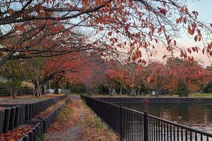 20251125 山さんブログ その129