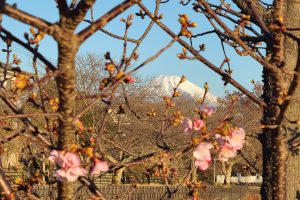 20260202 山さんブログ その-131