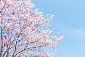 雨上がり