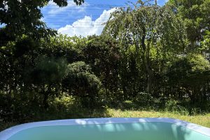 君に会って笑いあって、はじまるよ夏休み