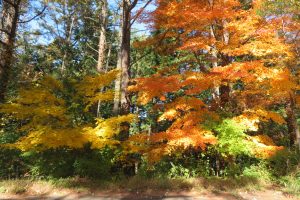 20251123 山さんブログ その128