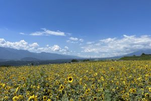 景色（田口）