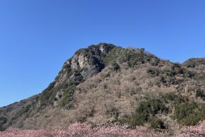 子供と一緒に伊豆の国市・城山へ登山!