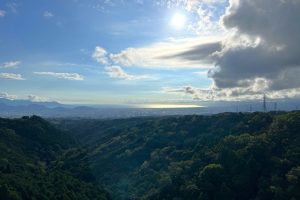 三島といえば（田口）