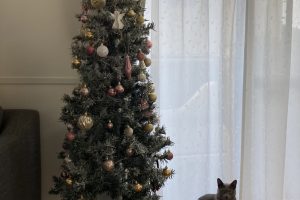 クリスマスツリー🎄