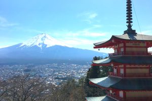 癒しを求めて(田口）