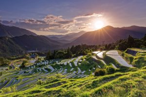 20260422　山さんブログ　その136