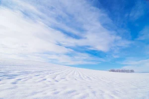 雪（田口）