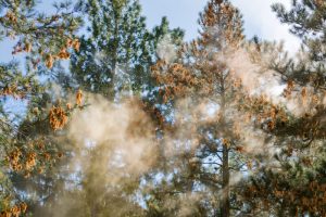 毎年の事・・・