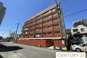 価格改定しました