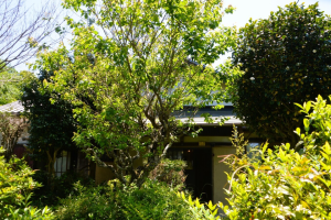 【お預かり物件】伊豆の国市大仁中古戸建　新着物件情報公開しました