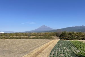 富士山